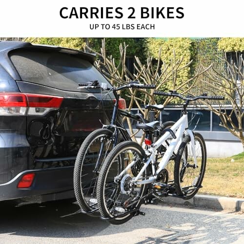 WEIZE 2 Bike Hitch Mount Rack